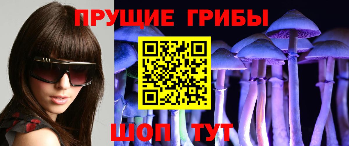 Псилоцибиновые грибы Psilocybine cubensis Саранск