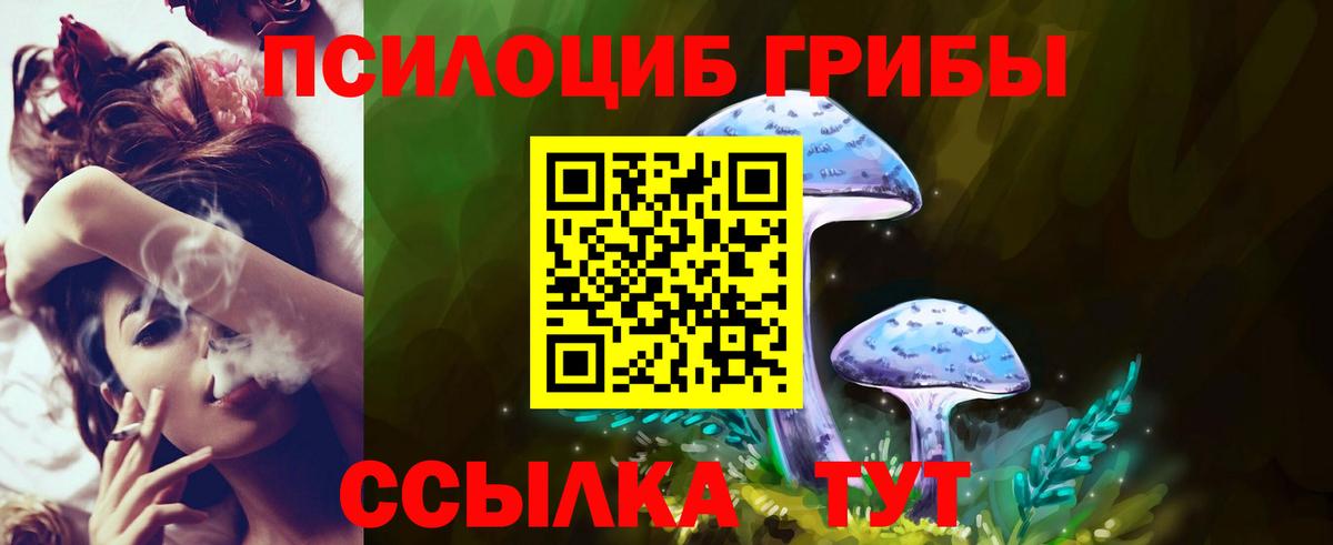 Лсд 25  Вход с VPN  Кокаин  Меф   Саранск  ЭКСТАЗИ  Канабис 
